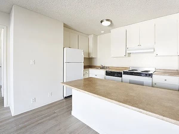 St. Francis Arms - Image 2